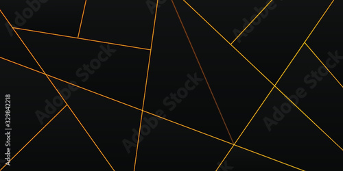 Dark black Geometric grid b...