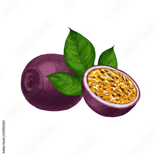 Hand drawn colorful passion fruit. Set sketches with cut passion fruit and leaf. Vector illustration isolated on white background.