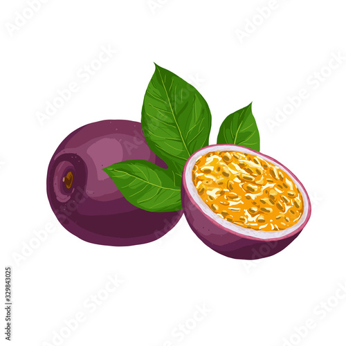 Hand drawn colorful passion fruit. Set sketches with cut passion fruit and leaf. Vector illustration isolated on white background.