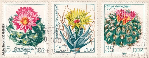 Cacti : Coryphantha elephantidens, Leuchtenbergia principis, Oroya peruviana, stamp Germany 1983 photo