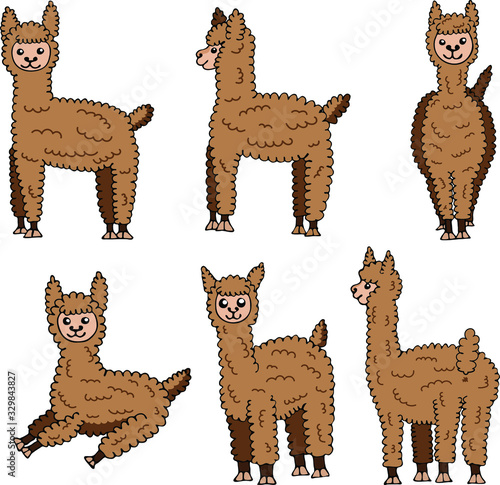 Cute lamas and alpacas. Funny smiling animals isolated on white