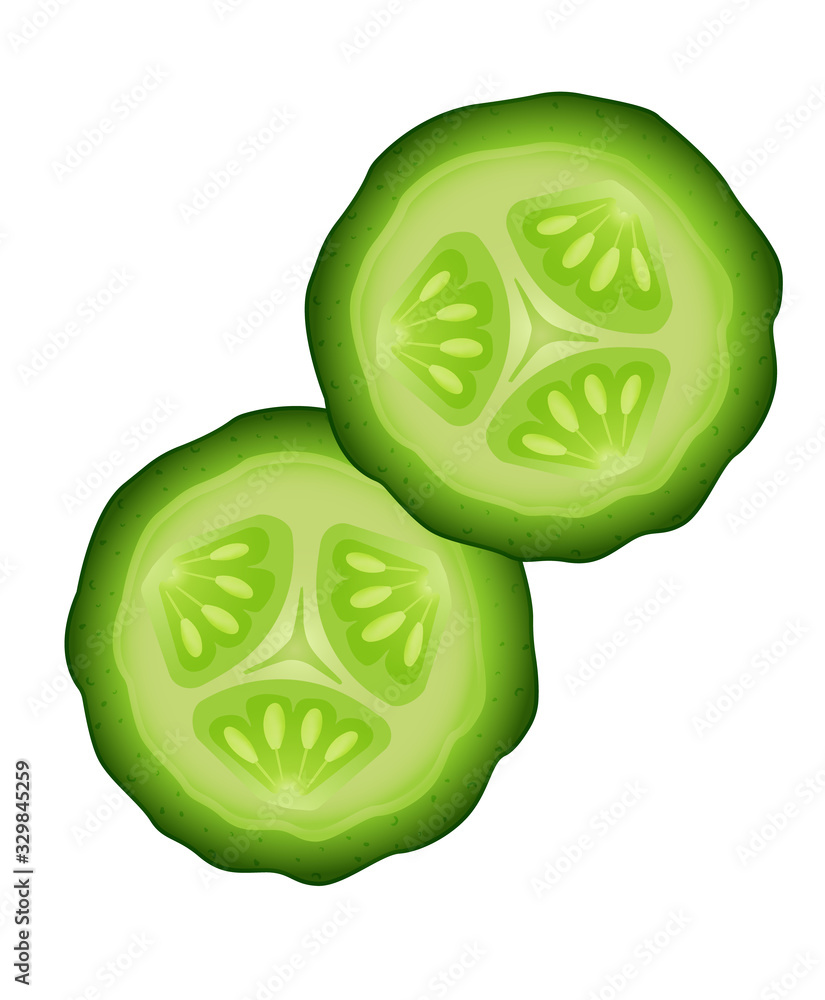 Fresh cucumber slices isolated on a white background.Vector illustration Fresh cucumber slices isolated on a white background.Vector illustration