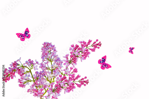 butterfly insect. spring flowers lilac isolated on white background.