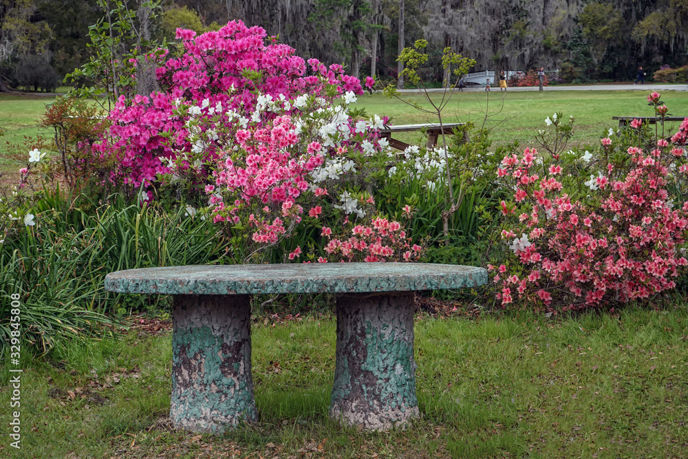 Stone bench and flowers in a park