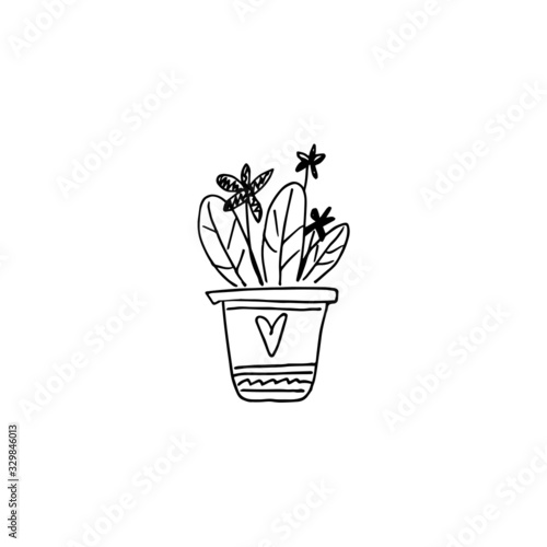 Fototapeta Naklejka Na Ścianę i Meble -  hand drawn home plant in doodle style in vector. decorative home plants
