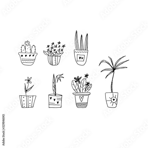 hand drawn home plants collection in doodle style in vector. decorative home plants