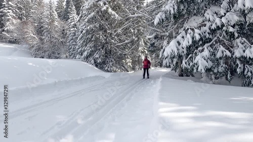 nice senior woman , crosscountry skiing in fresh fallen snow on a ski track in the Allgau Alps, Bavaria, Germany