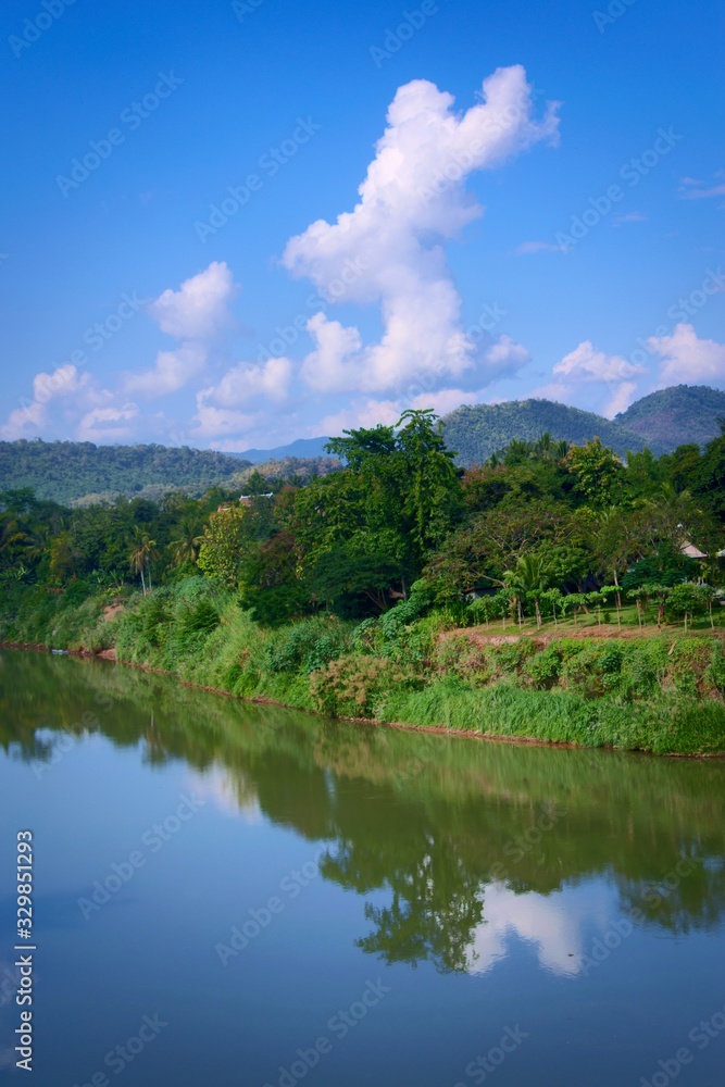 Lush jungle on a sunny day by Nam Khan river, in Luang Prabang, Laos.