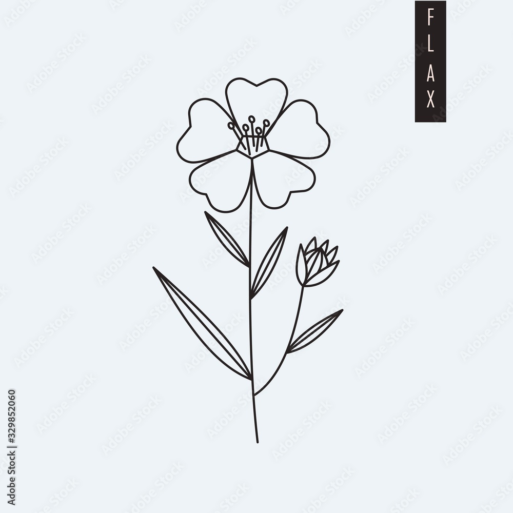Vector illustration of flax flower drawn in outline style isolated