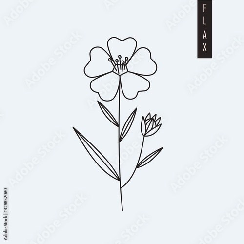 Vector illustration of flax flower drawn in outline style isolated on grey background. Herbal botanic drawing of linen plant for print, logo, emblem. Nutritional supplement or textile fiber theme.