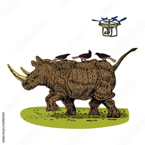 Rhino vector quadrocopter illustration on white background