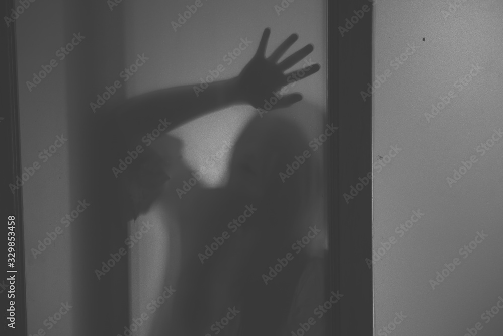 The silhouette of a human in front of a door at night.Scary scene Halloween concept of blurred silhouette,Ghost movies poster