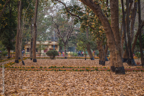 famous chatimtala of Visva-Bharati University , santiniketan , Bolpur, India photo