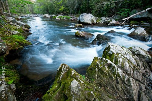 The Middle Prong of the Little River swells with spring runoff in Great Smoky Mountain National Park.