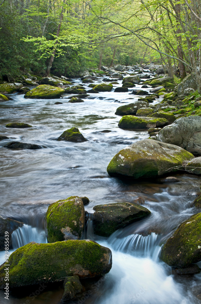 Morning light on the Middle Prong of the Little River, Great Smoky Mountains National Park, Tennessee. Morning light on the Middle Prong of the Little River, Great Smoky Mountains National Park, Tennessee.