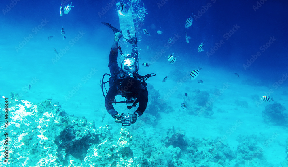 diver swimming underwater near coral reefs and fish and takes a picture with camera diver swimming underwater near coral reefs and fish and takes a picture with camera