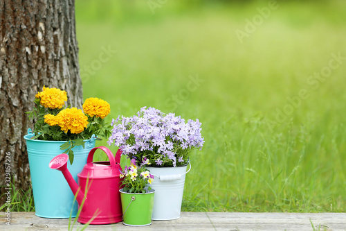 Watering can with flowers in buckets on wooden board