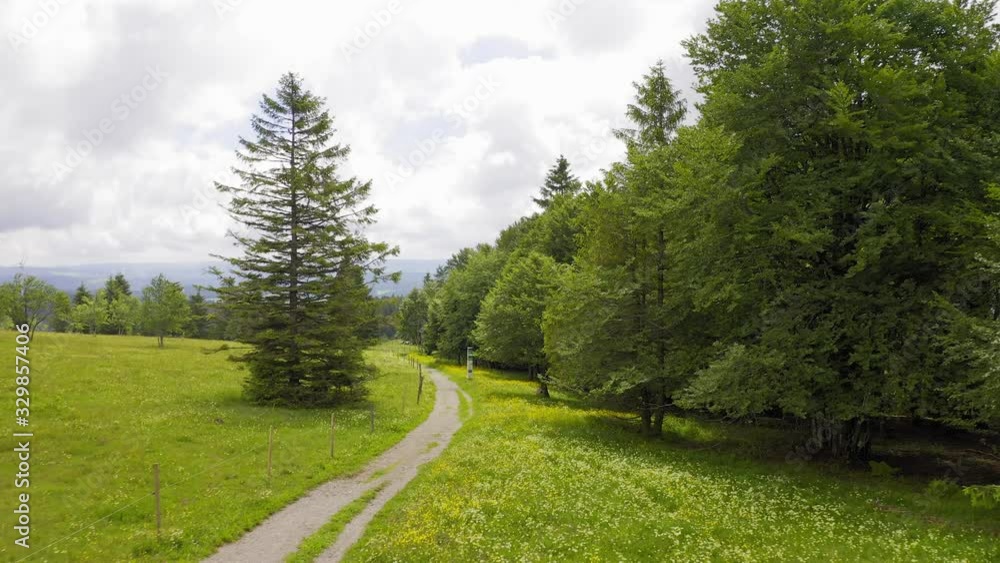 Forward aerial over green meadows covered in flowers and pine trees along hiking path. Black forest, Germany. Bad overcast weather Forward aerial over green meadows covered in flowers and pine trees along hiking path. Black forest, Germany. Bad overcast weather