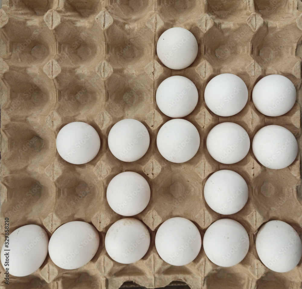 Chicken eggs in a cardboard egg stand