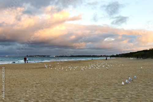 Beach  sand  seagulls  sea and a walking older couple