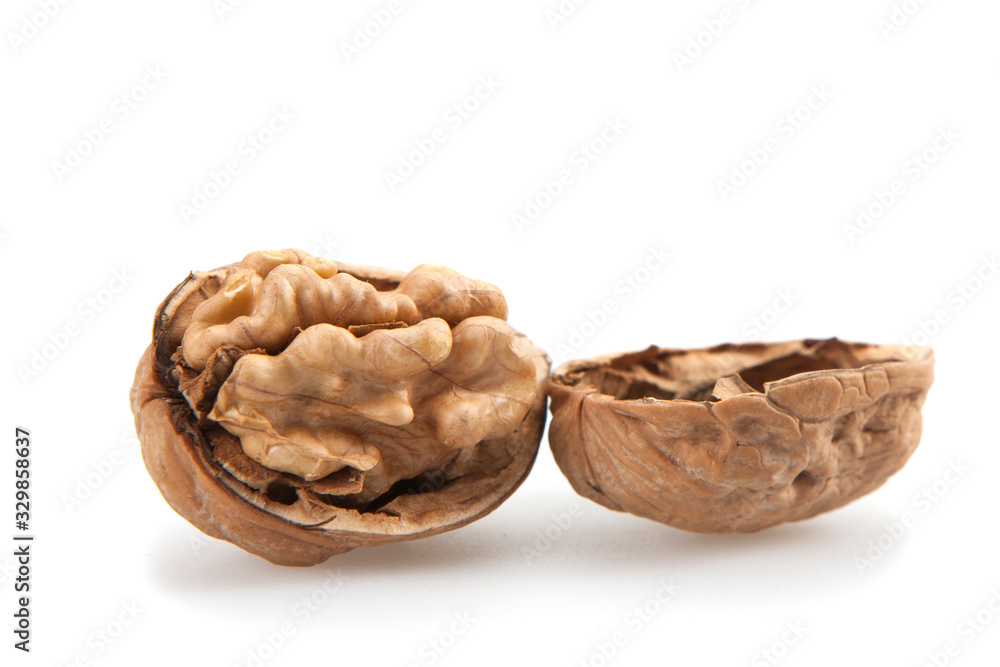 close-up of a walnut close-up of a walnut