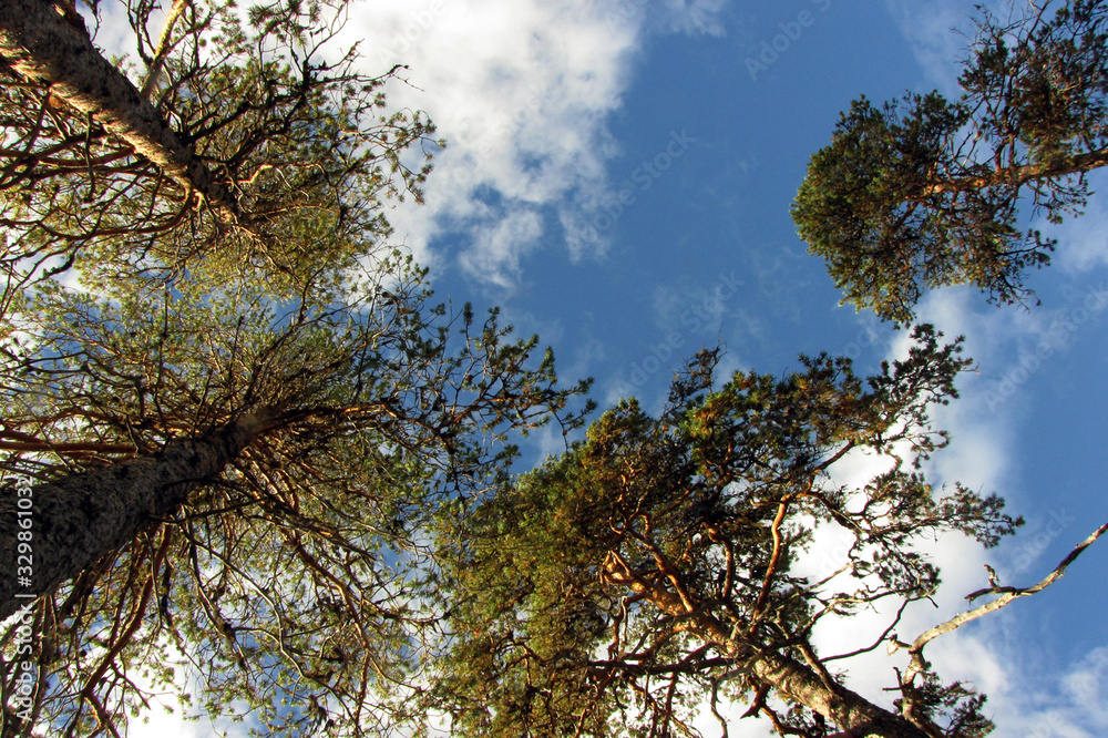 Obraz premium Autumn fishing on the Kola Peninsula.