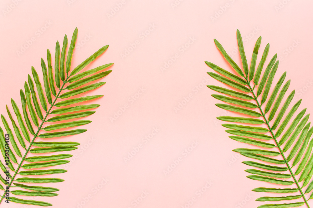 Fototapeta premium Tropical palm leaves with copy space in the middle