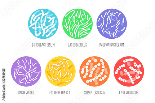 Types of probiotics on a white background. Vector illustration. photo