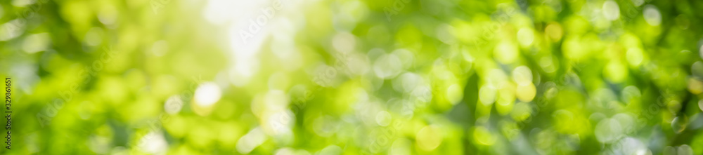 Abstract blurred out of focus and blurred green leaf background under sunlight with bokeh and copy space using as background natural plants landscape, ecology cover concept.