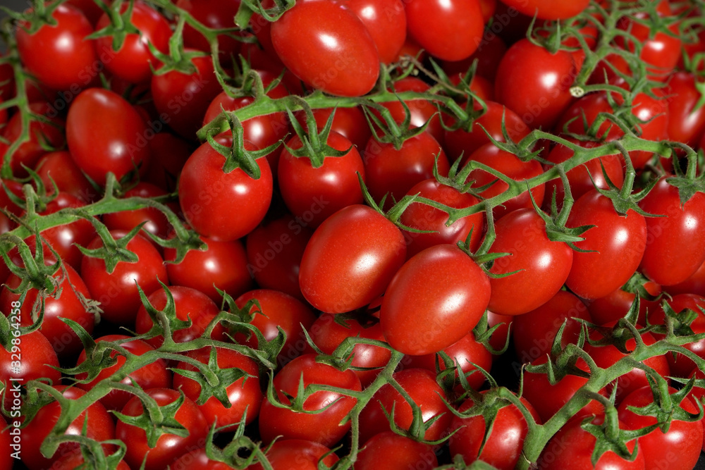 Heap of small cherry red tomatoes with green vine, photo from above