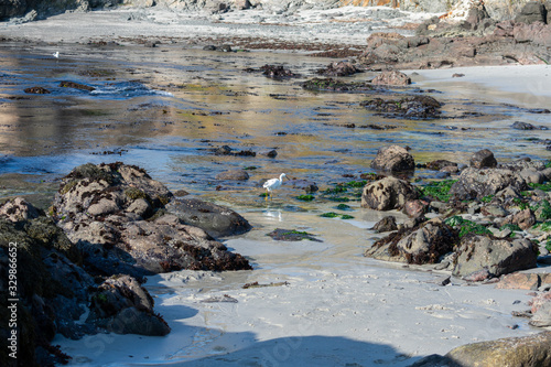 Photos Carmel by the Sea