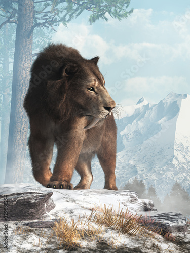 A saber tooth cat stands on a snowy hill and glances into the valley below.  Smilodon populator, the largest cat ever, lived during the Pleistocene era in South America. 3D Rendering 	