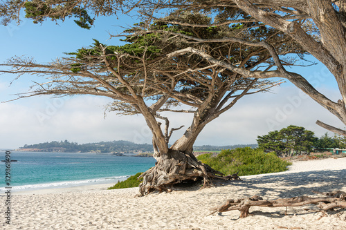 Carmel by the Sea