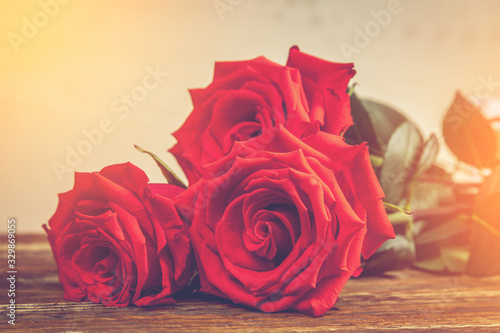 red rose on wooden background