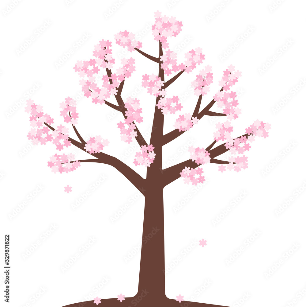 Cherry blossom tree. The japanese Sakara. Celebrating Hanami. Cherry blossom tree. The japanese Sakara. Celebrating Hanami.