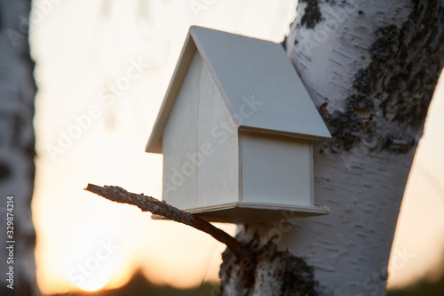 Eco house, building of blank wood model on tree branch. Modern real estate property and ecologically friendly dwellings