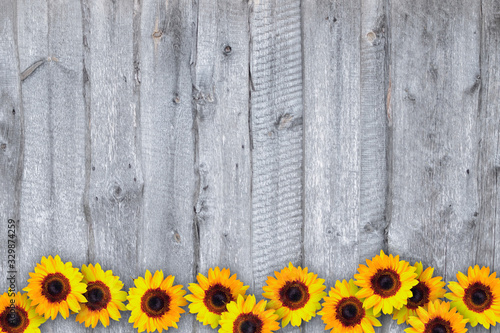 sunflowerborder on light grey wood background