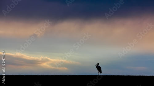 Fototapeta Naklejka Na Ścianę i Meble -  krajobraz przed burzą na Mazurach w północno-wschodniej Polsce