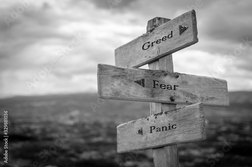 Billede på lærred Greed, fear and panic text on wooden road sign outdoors