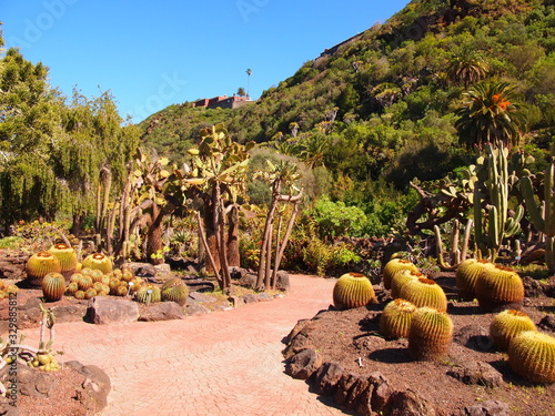 Botanical garden (Tafira Alta, Gran Canaria, Spain) photo