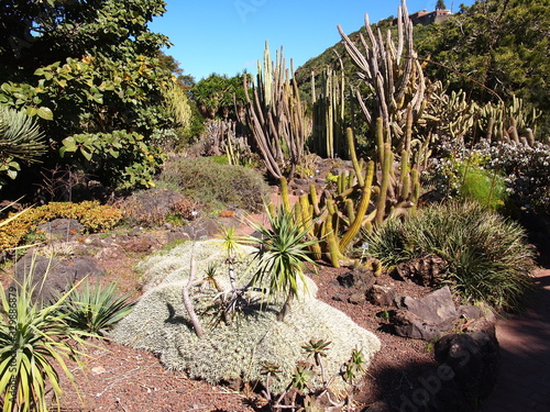 Botanical garden  Tafira Alta  Gran Canaria  Spain 