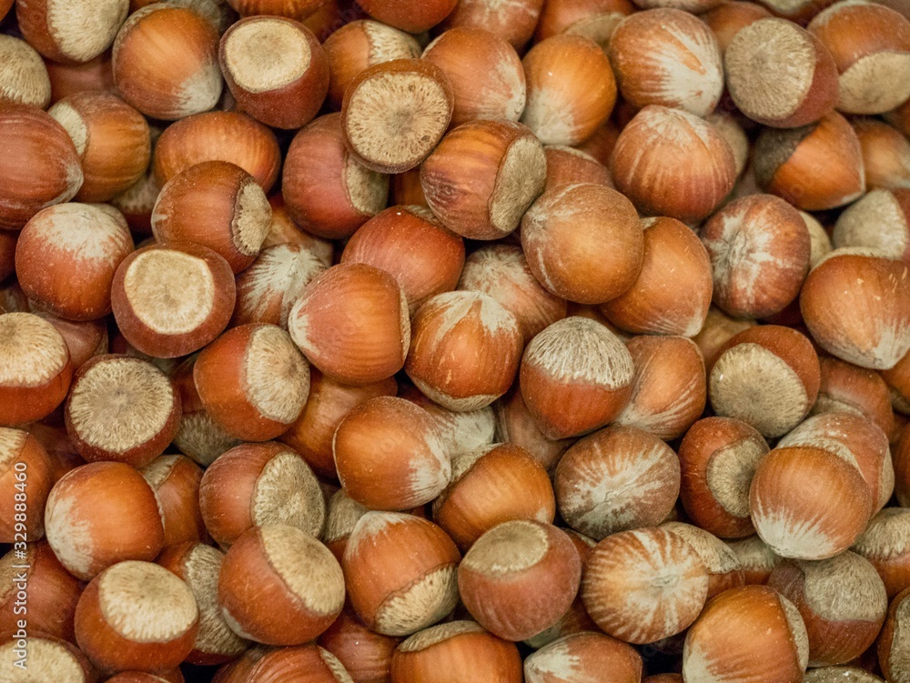 Hazelnut in a bag in Istanbul market Hazelnut in a bag in Istanbul market