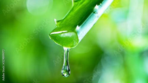 Dropping aloe vera liquid f...