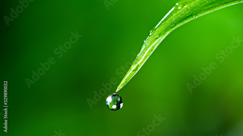 Macro shot of water drop over the green grass leaf , relaxation with water ripple drops concept