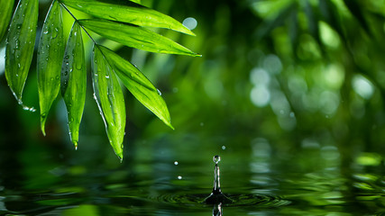 Macro shot of water drop over the water , relaxation with water ripple drops concept , freeze motion