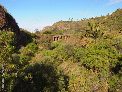 Botanical garden (Tafira Alta, Gran Canaria, Spain) photo