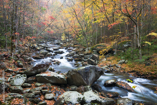Autumn on the Middle Prong of the Little River, Great Smoky Mountains National Park, Tennessee. photo