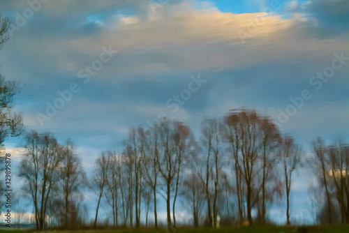 illustration of trees reflected in water against the sky