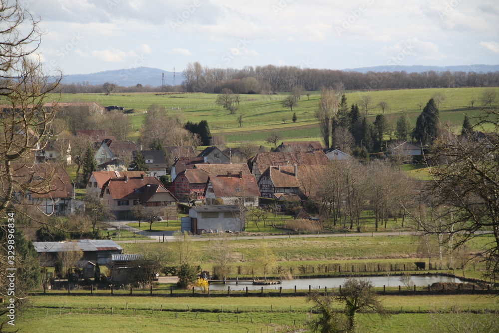 Alsatian tiny village in the countryside meadow