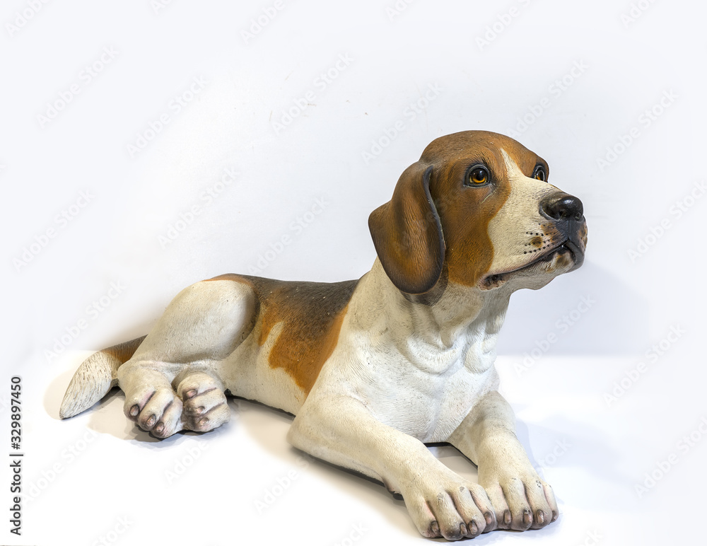 Dog isolated on white background. Beagle breed dog model crouching.